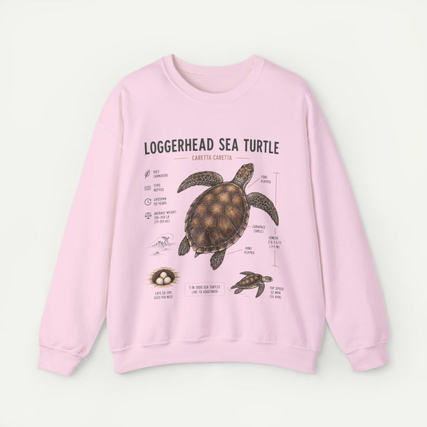 Loggerhead Sea Turtle Anatomy Sweatshirt — Marine Life Educational Crewneck