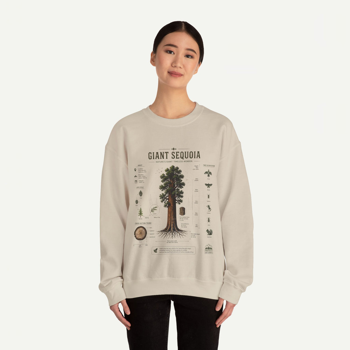 Giant Sequoia Botanical Sweatshirt
