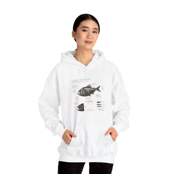 Blackfish Anatomy Hoodie – Fish Identification Diagram Sweatshirt