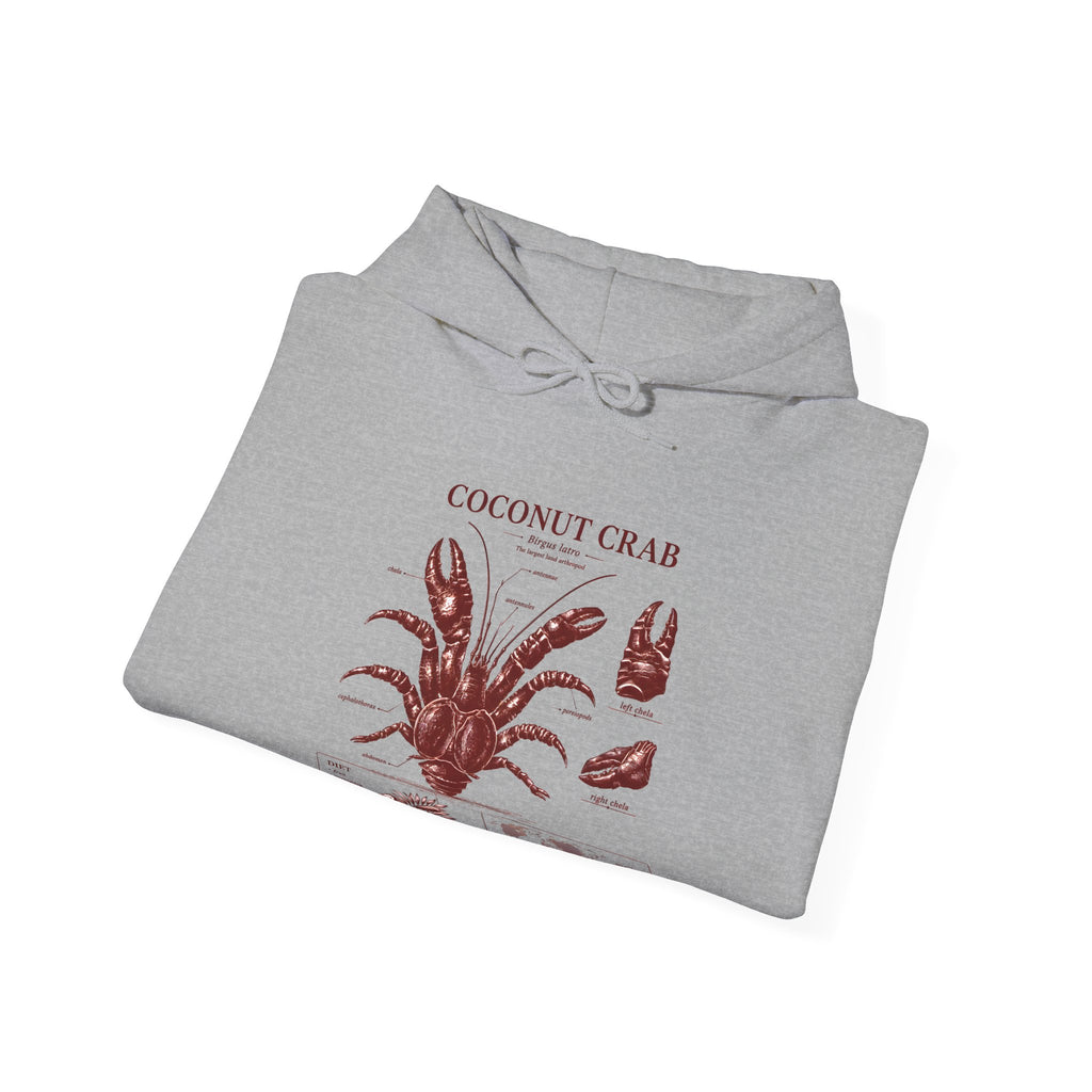 Coconut Crab Anatomy Hoodie — Vintage Botanical & Marine Study Print