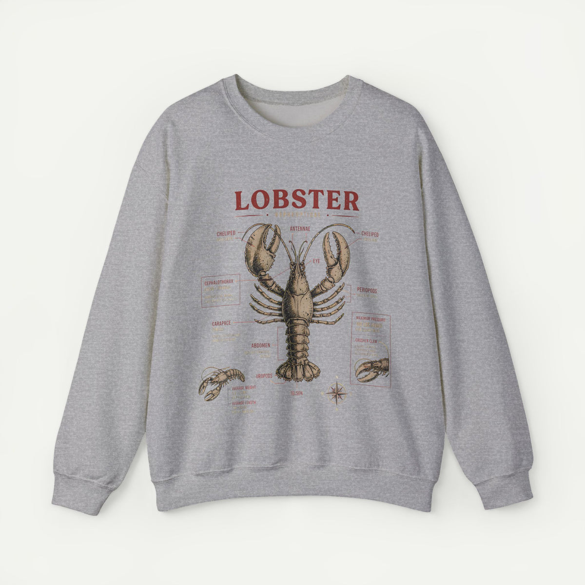 Lobster Anatomy Crewneck Sweatshirt