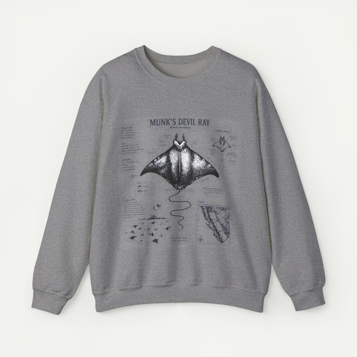 Munk’s Devil Ray Anatomy Sweatshirt — Vintage Marine Biology Graphic Crewneck Main image