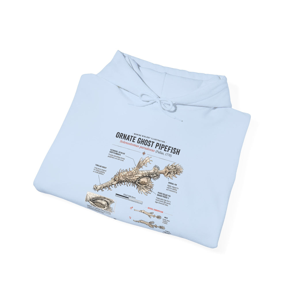 Ornate Ghost Pipefish Anatomy Hoodie — Scientific Diagram Pullover