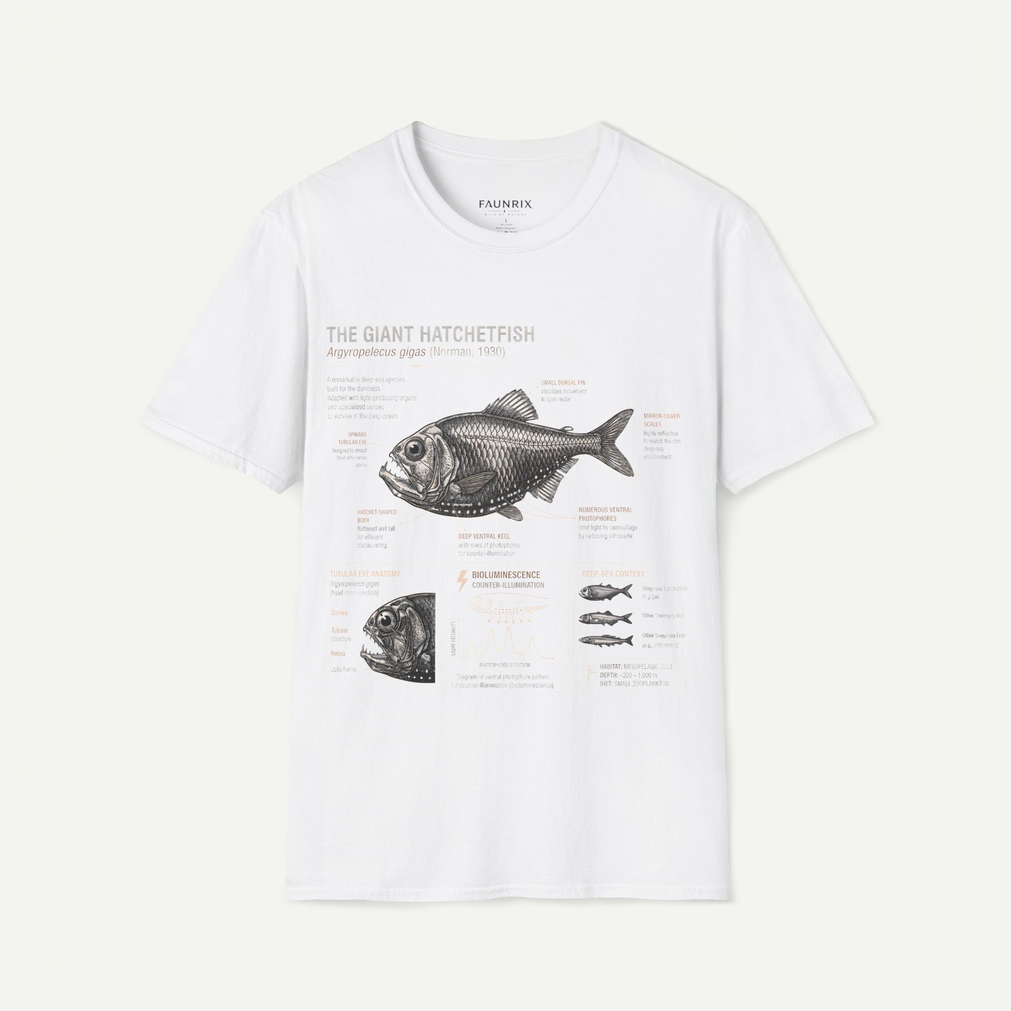 Hatchetfish Anatomy T-Shirt — Vintage Scientific Fish Diagram Tee Secondary image