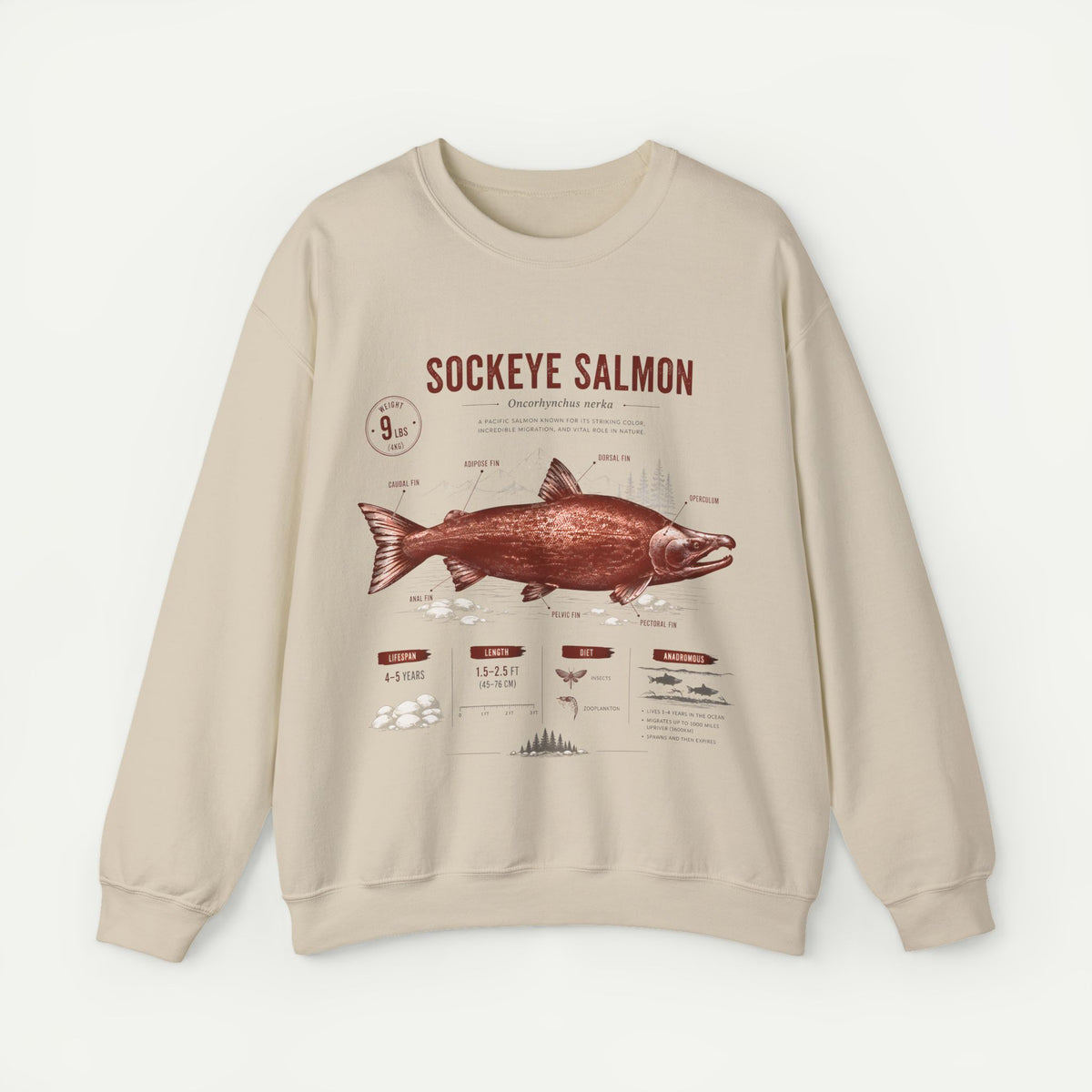 Sockeye Salmon Anatomy Sweatshirt — Vintage Fish Illustration Tee for Anglers & Nature Lovers Main image