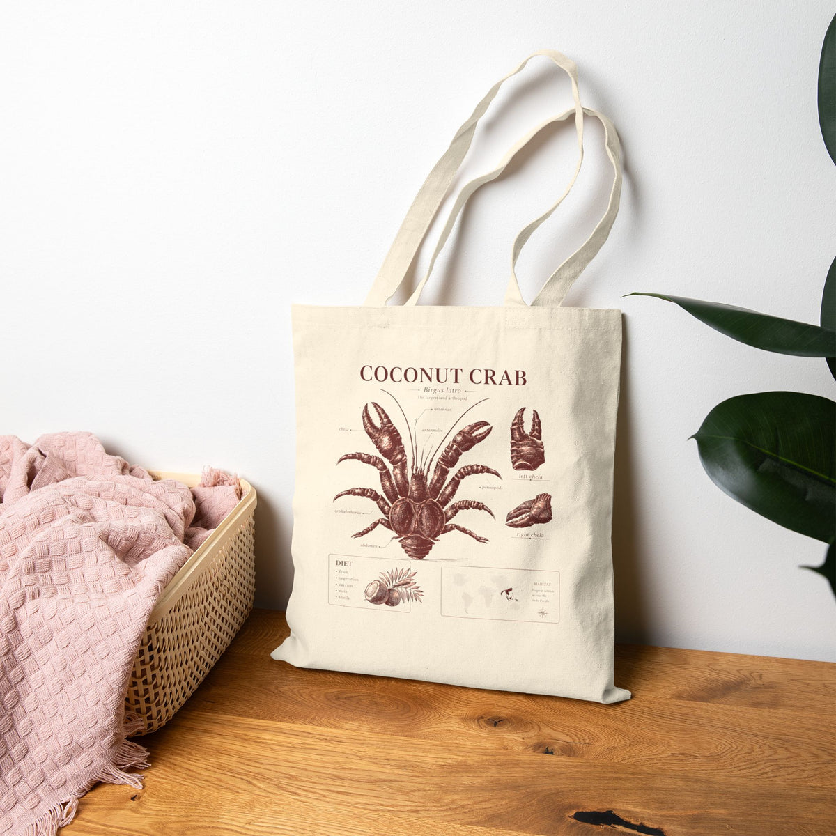 Coconut Crab Anatomy Tote — Vintage Marine Illustration Beach Bag