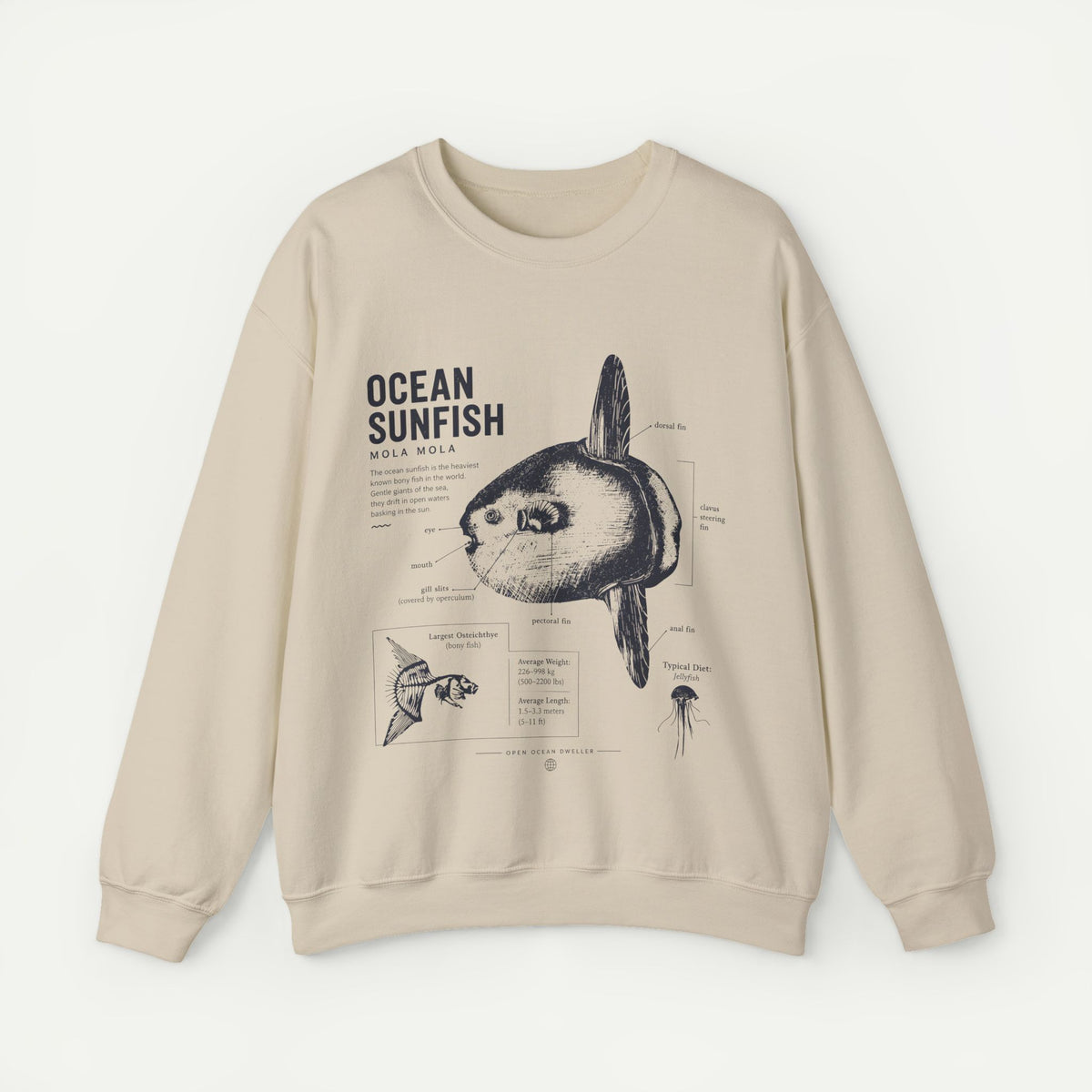 Ocean Sunfish Sweatshirt — Vintage Marine Illustration Pullover