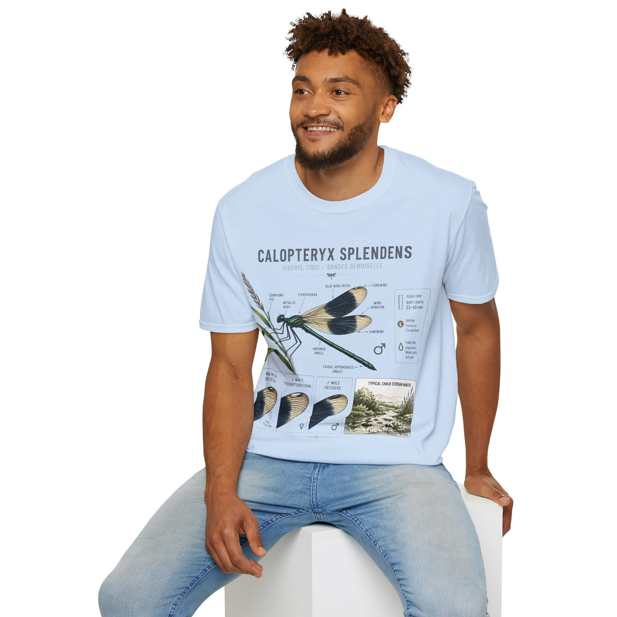 Calopteryx Splendens Anatomy T-Shirt