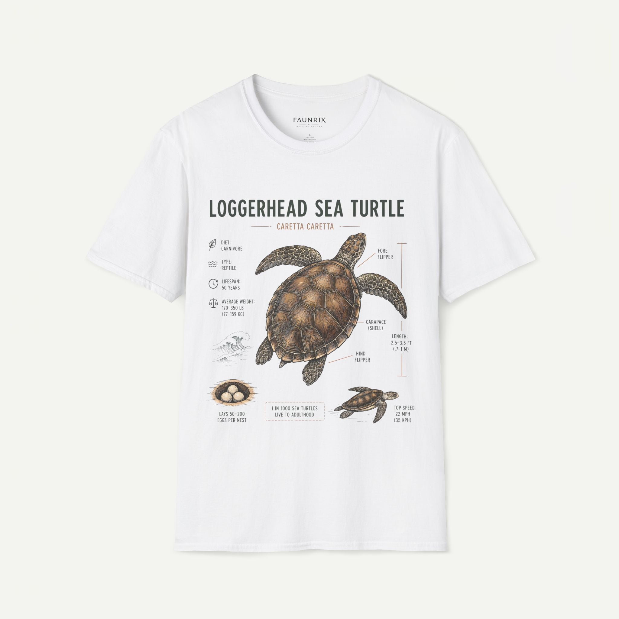 Sea Turtle Anatomy  T-Shirt — "Loggerhead Sea Turtle" Vintage Nature Graphic Tee Secondary image