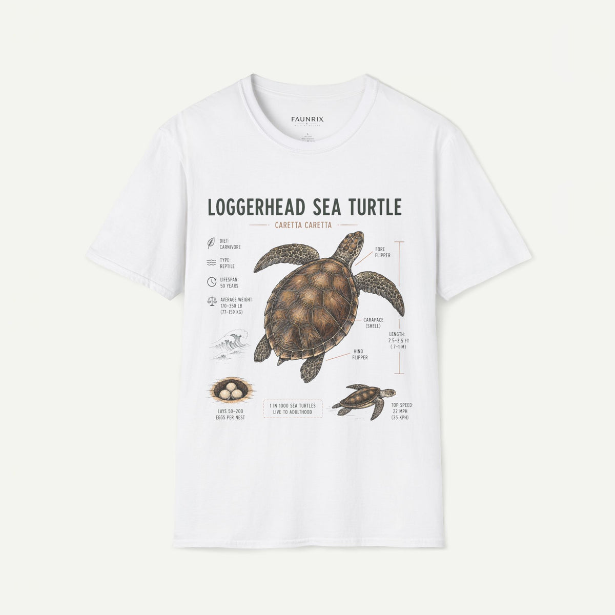 Sea Turtle Anatomy  T-Shirt — "Loggerhead Sea Turtle" Vintage Nature Graphic Tee