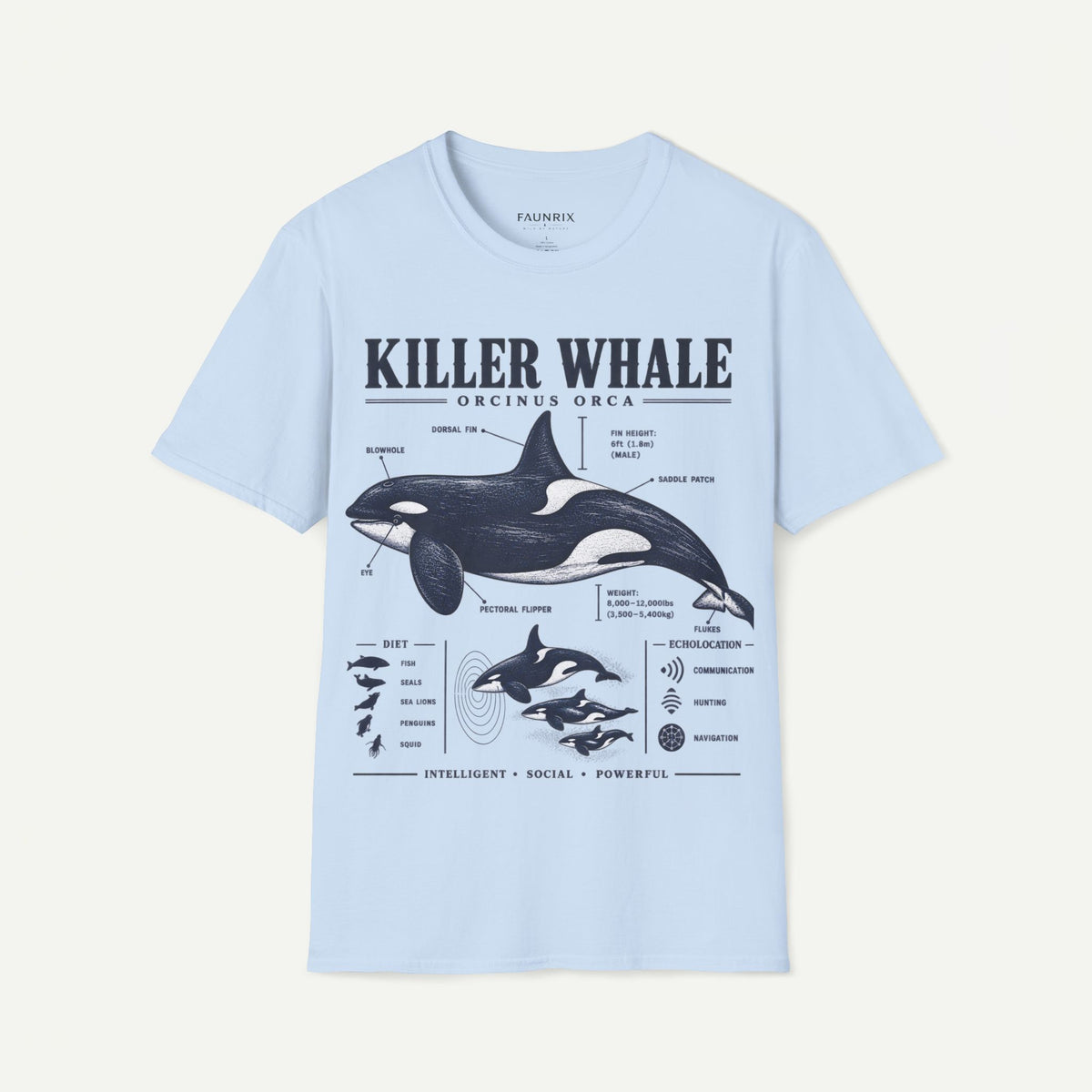 Killer Whale Diagram T-Shirt — Orcinus Orca Marine Life Graphic Tee