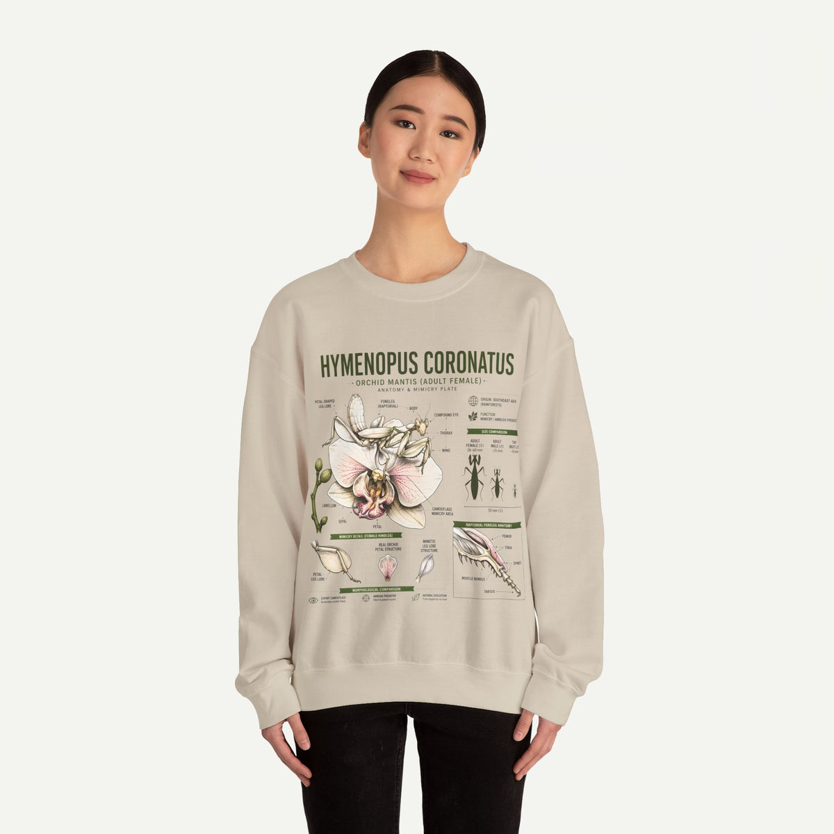 Botanical Anatomy Sweatshirt — Hymenopus Coronatus Illustration