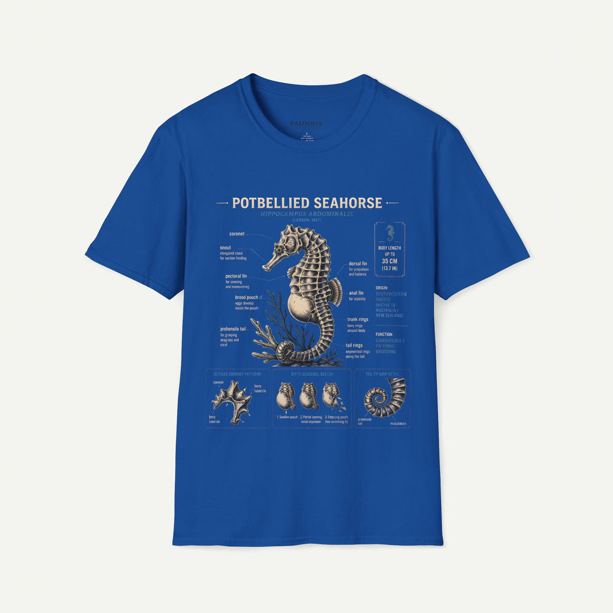Seahorse Anatomy T-Shirt — Vintage Potbellied Seahorse Illustration