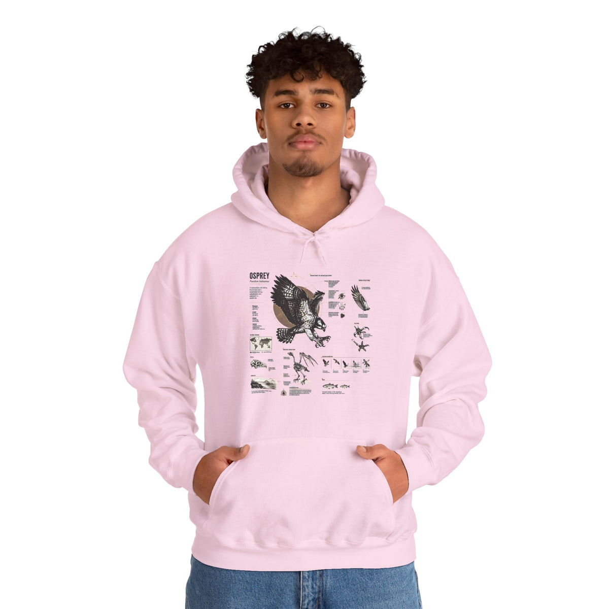 Eagle Anatomy Hoodie — Vintage Ornithology Graphic Sweatshirt