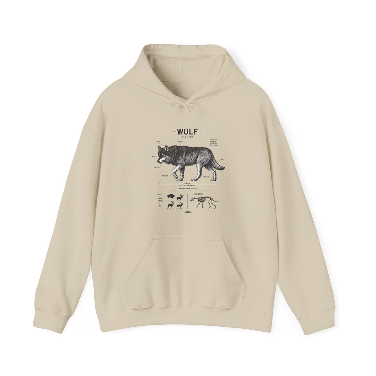 Wolf Anatomy Hoodie – Vintage Wildlife Diagram Sweatshirt