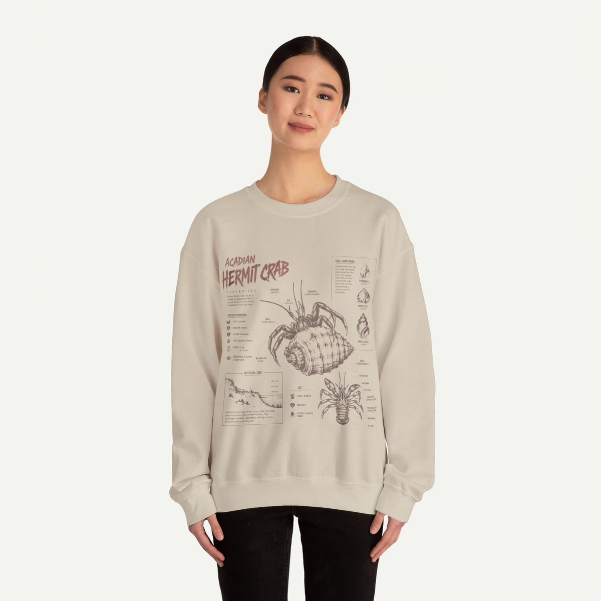 Hermit Crab Anatomy Sweatshirt — Acadian Hermit Crab Illustration