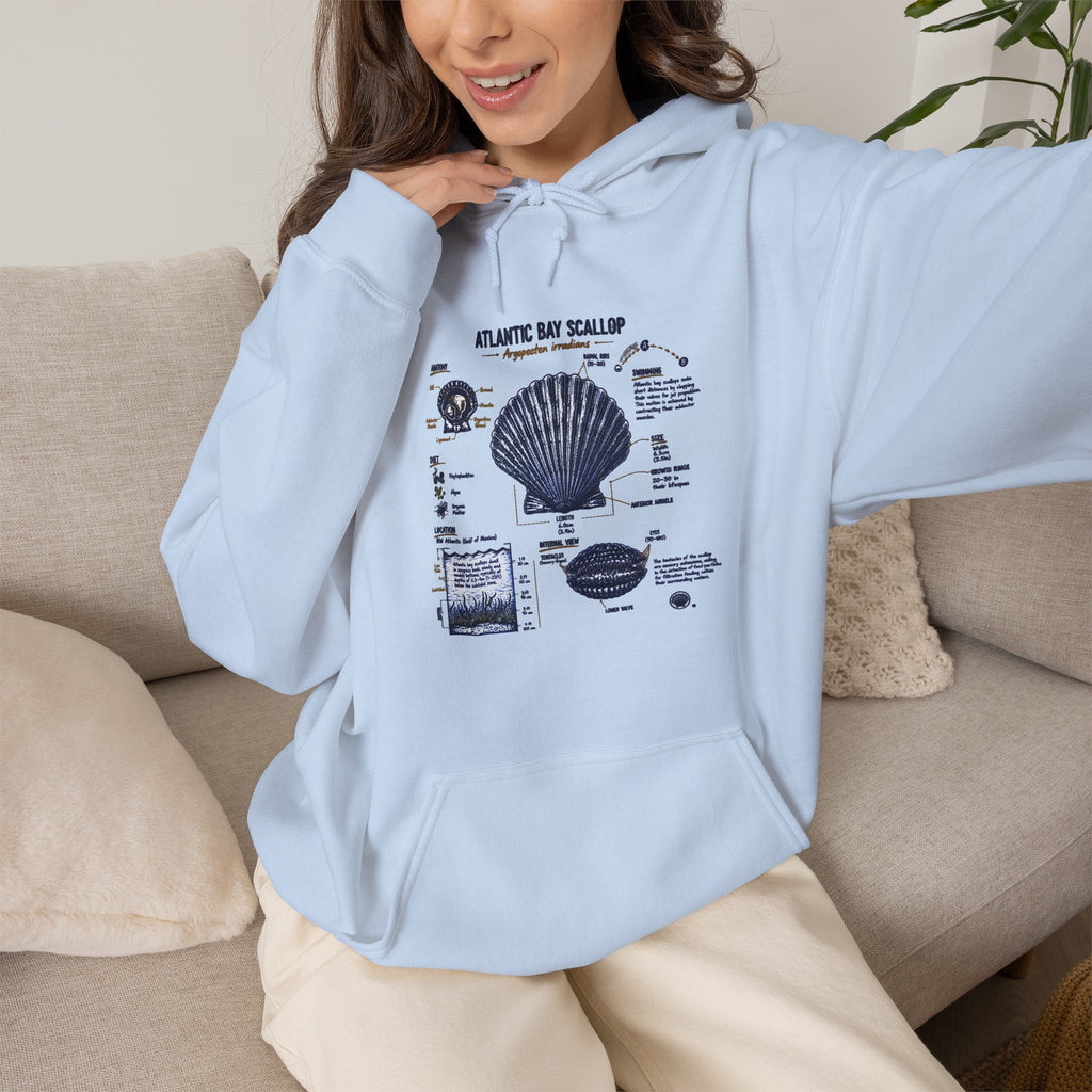Seashell Anatomy Hoodie – Nautical Beach Diagram Sweatshirt