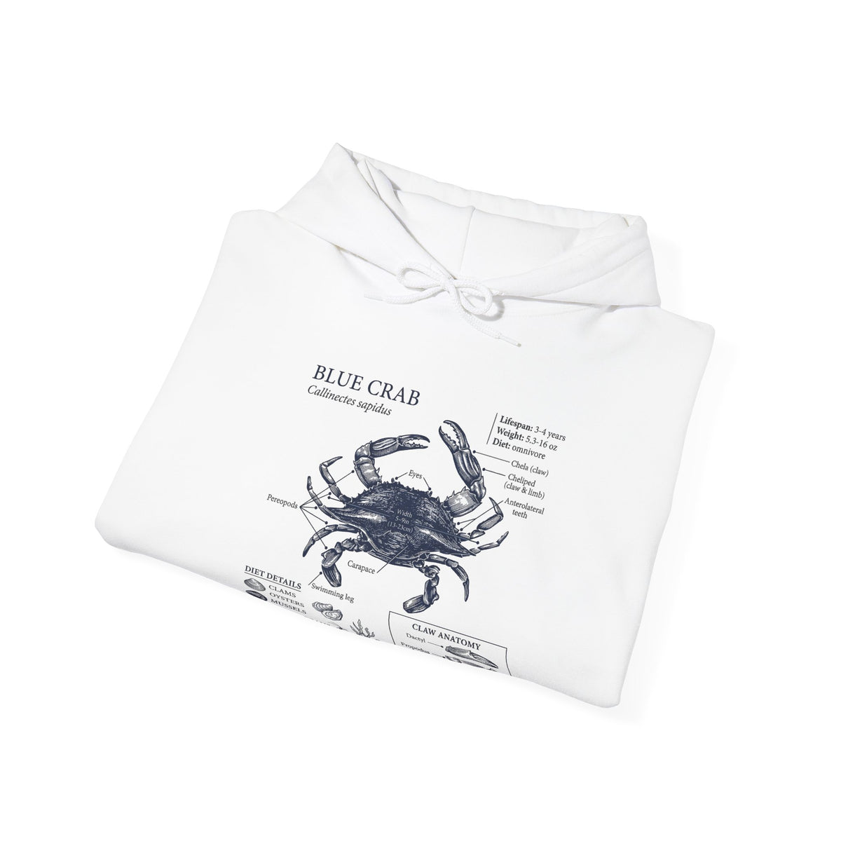 Blue Crab Anatomy Hoodie – Nautical Marine Biology Graphic Sweatshirt