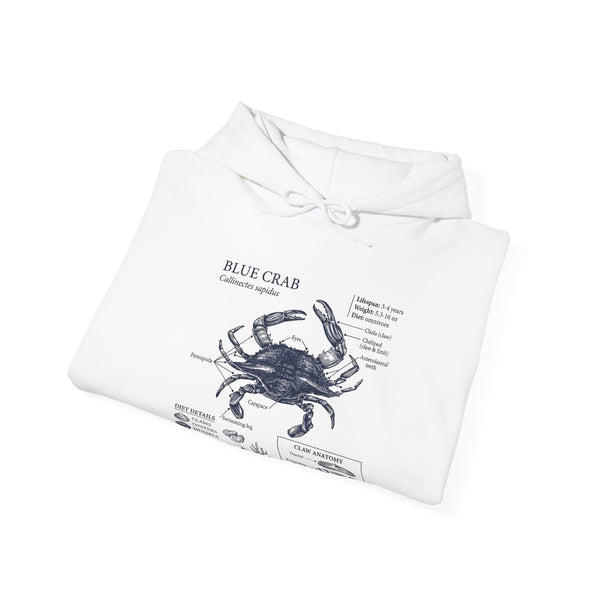 Blue Crab Anatomy Hoodie – Nautical Marine Biology Graphic Sweatshirt