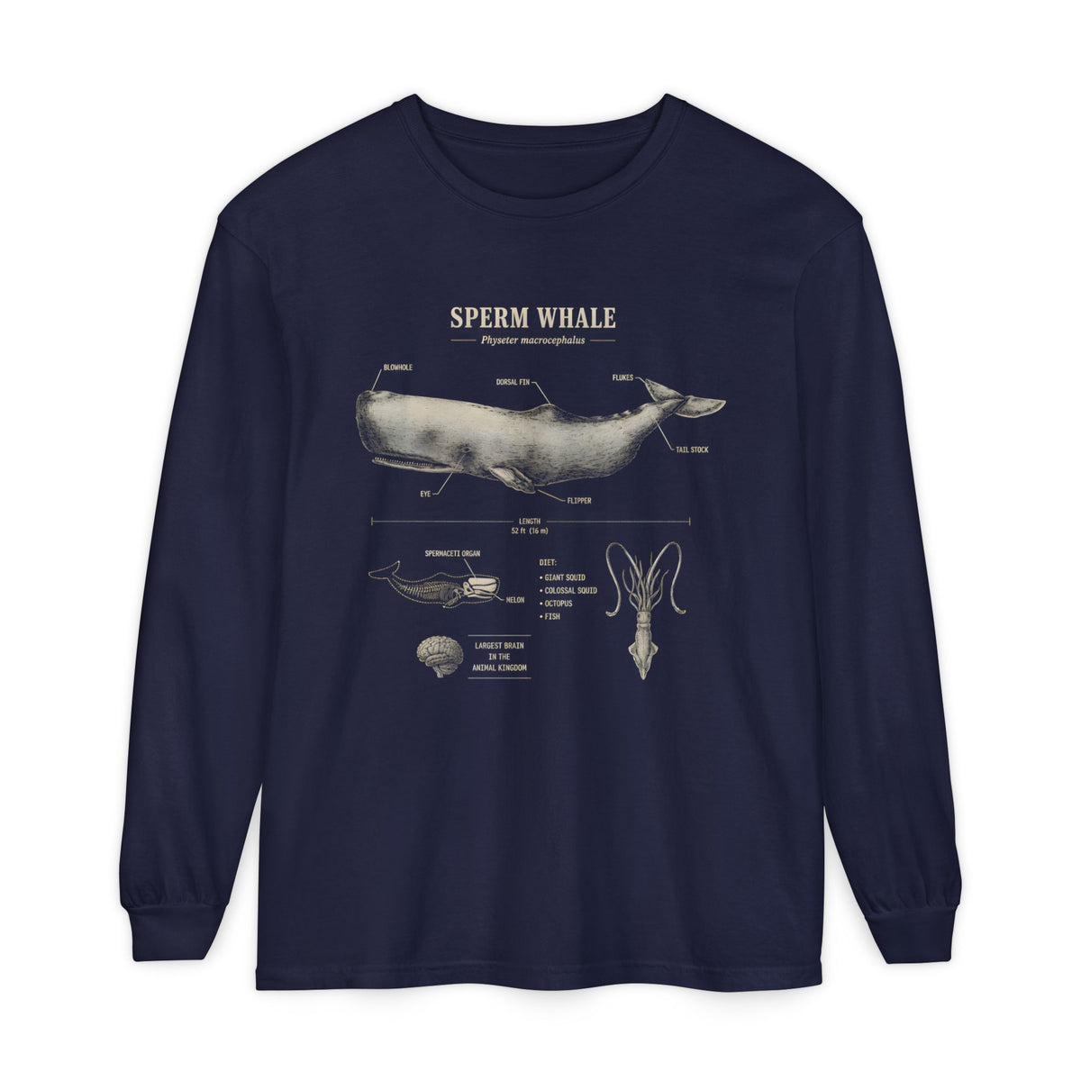 Sperm Whale Anatomy Long Sleeve Tee — Marine Life Graphic Shirt Main image
