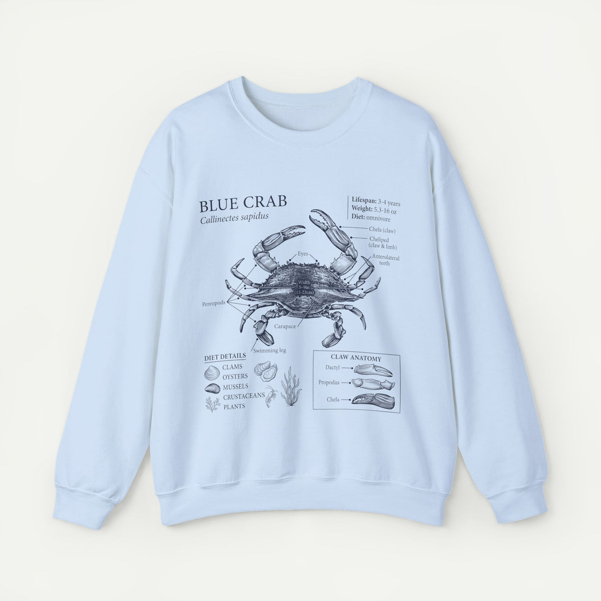 Blue Crab Anatomy Crewneck Sweatshirt – Marine Biology Graphic Pullover