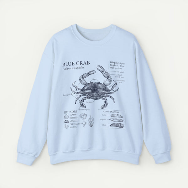 Blue Crab Anatomy Crewneck Sweatshirt – Marine Biology Graphic Pullover