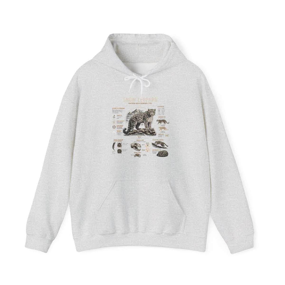 Bear Anatomy Hoodie — Vintage Wildlife Illustration Sweatshirt