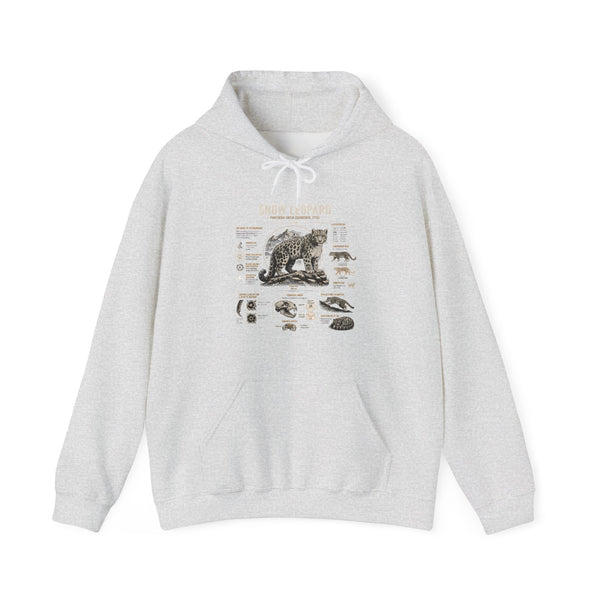 Bear Anatomy Hoodie — Vintage Wildlife Illustration Sweatshirt