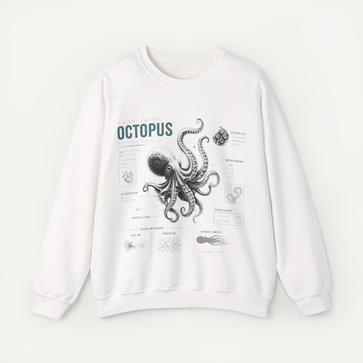Octopus Anatomy Sweatshirt — Vintage Marine Biology Graphic Main image