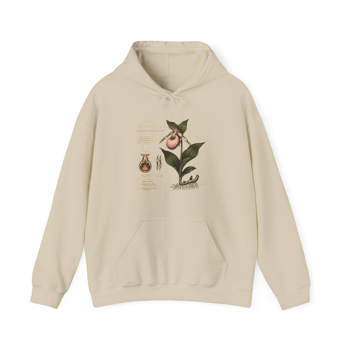 Botanical Peach Illustration Hoodie — Vintage Botanical Chart Sweatshirt