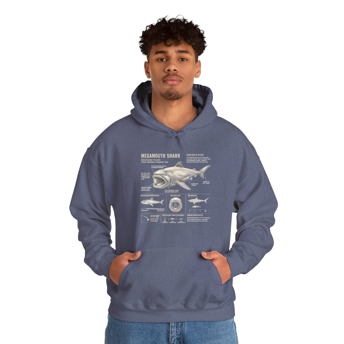 Shark Anatomy Hoodie — Vintage Megalodon Illustration Pullover