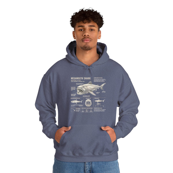 Shark Anatomy Hoodie — Vintage Megalodon Illustration Pullover