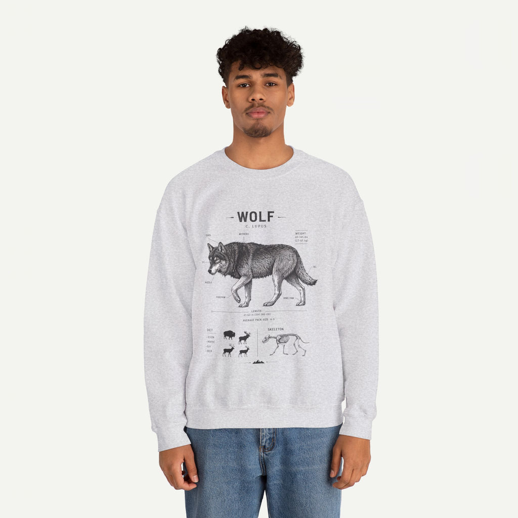 Wolf Anatomy Crewneck Sweatshirt