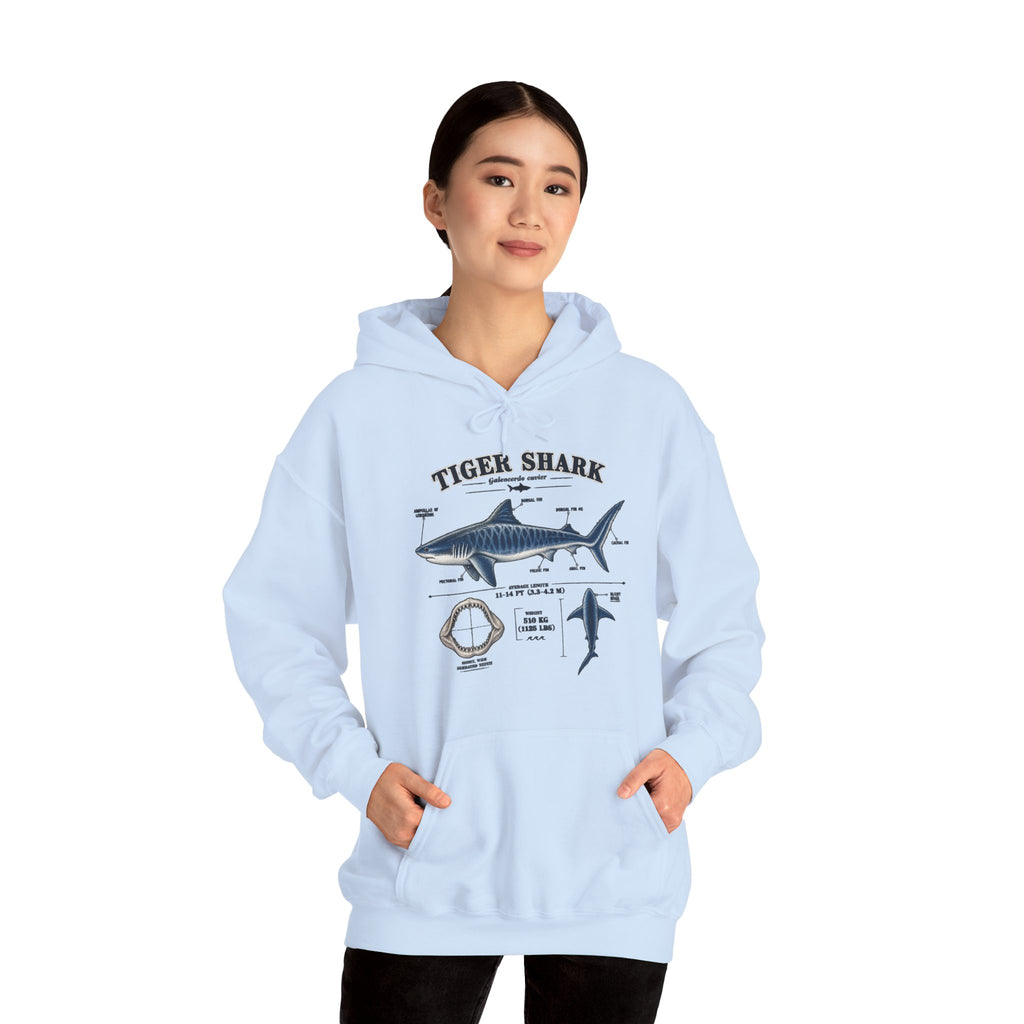 Tiger Shark Anatomy Hoodie — Nautical Science Graphic Pullover