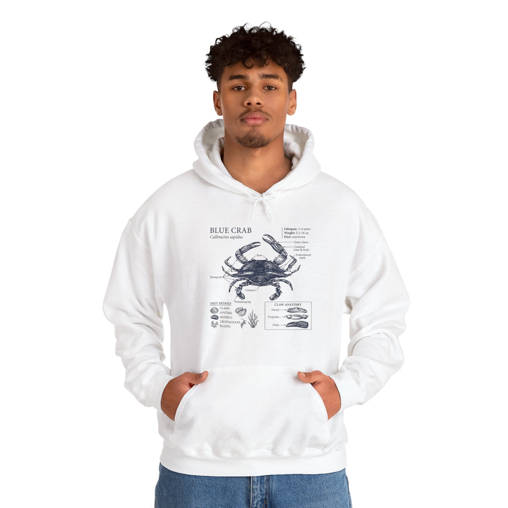 Blue Crab Anatomy Hoodie – Nautical Marine Biology Graphic Sweatshirt