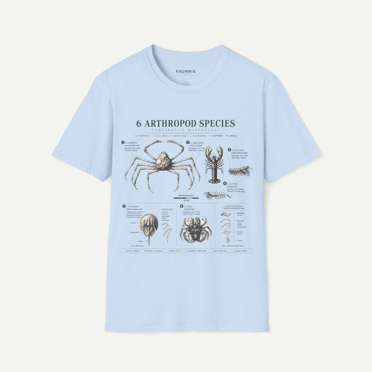 Arthropod Species Graphic Anatomy T-Shirt — 6 Detailed Arthropod Illustrations