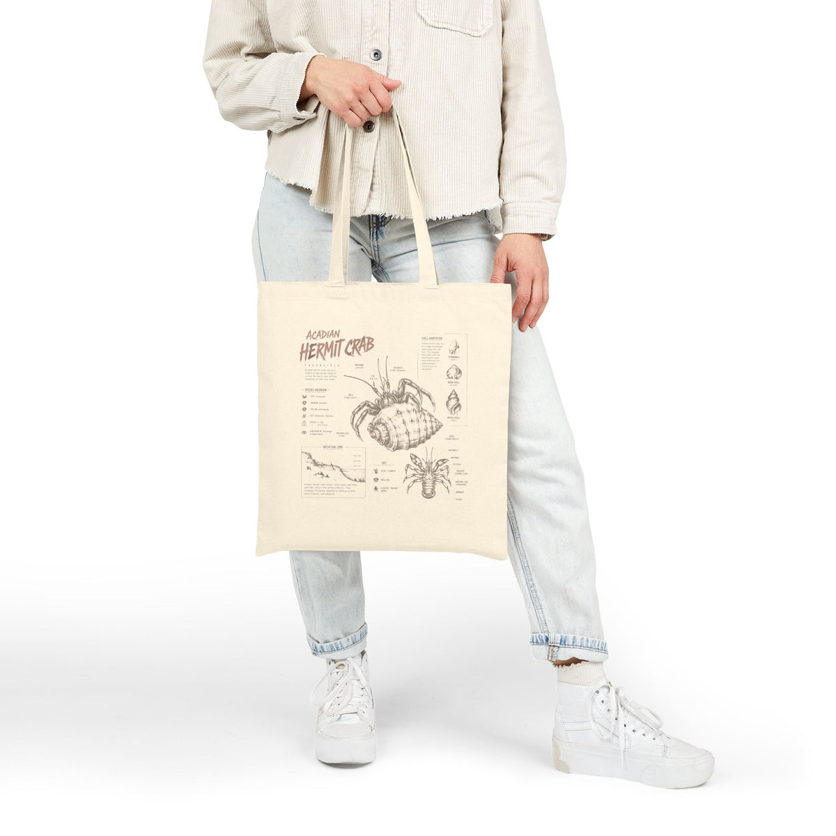 Hermit Crab Anatomy Canvas Tote Bag – Illustrated Marine Biology Tote