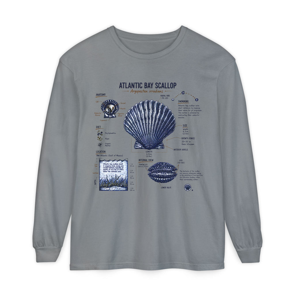 Atlantic Bay Scallop Shell Long Sleeve Tee - Scientific Shell Diagram