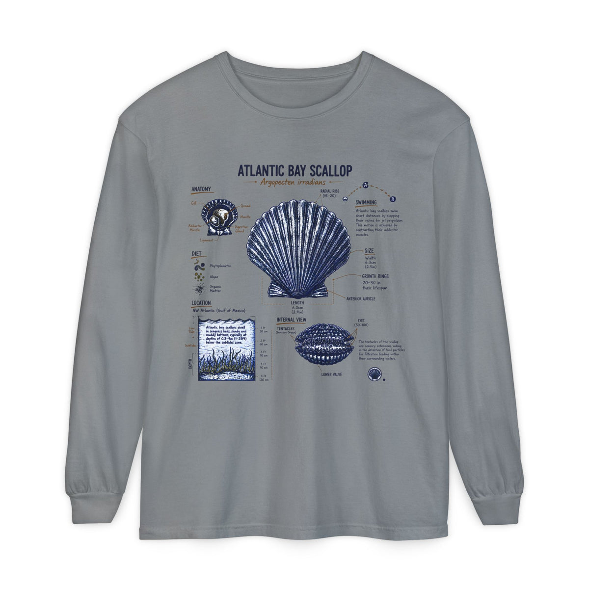 Atlantic Bay Scallop Shell Long Sleeve Tee - Scientific Shell Diagram