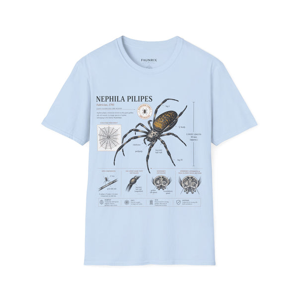 Spider Anatomy T-Shirt — Epephila Pilipis Scientific Illustration Tee