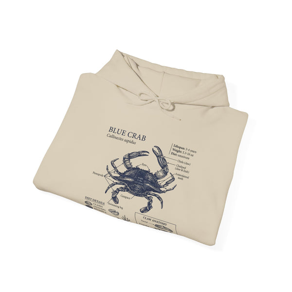 Blue Crab Anatomy Hoodie – Nautical Marine Biology Graphic Sweatshirt