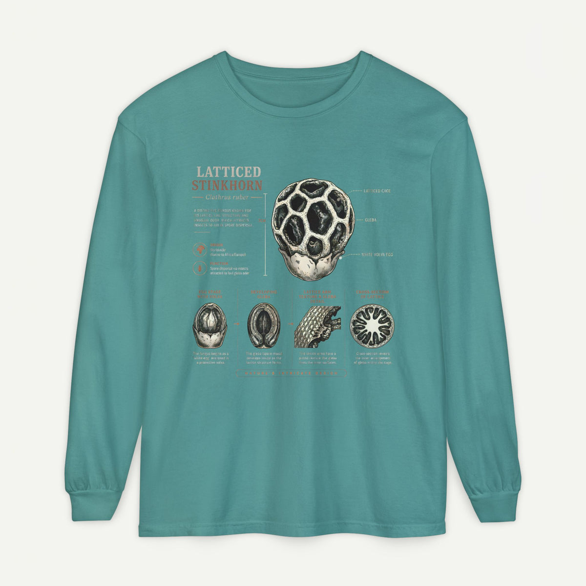 Latticed Stinkhorn Mushroom Diagram Long Sleeve Tee