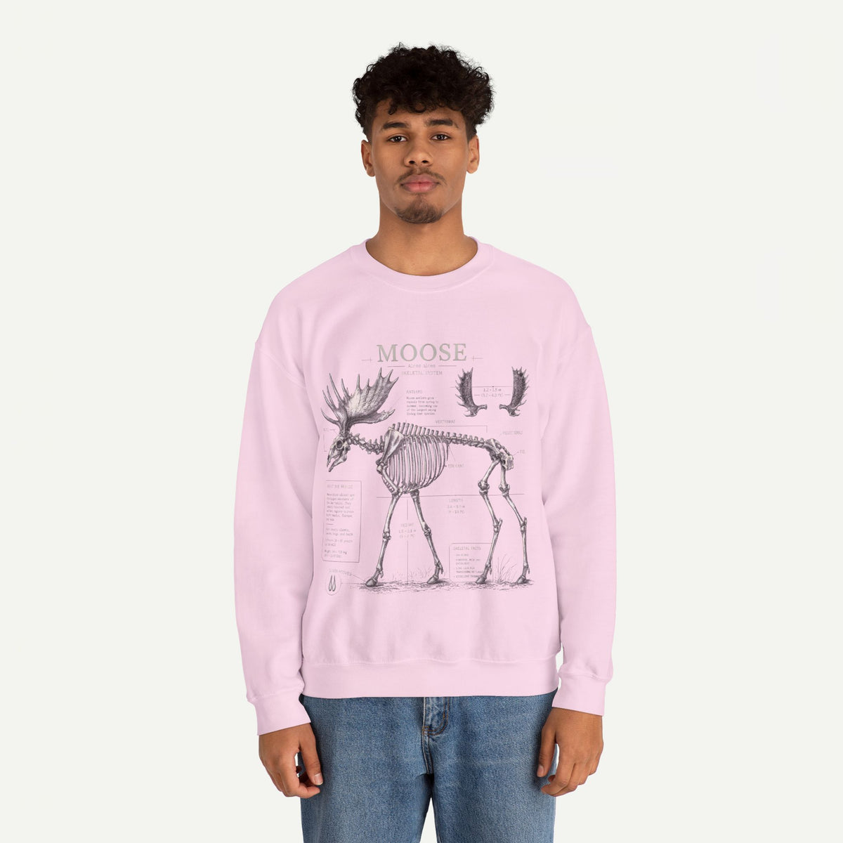 Moose Skeleton Anatomy Sweatshirt