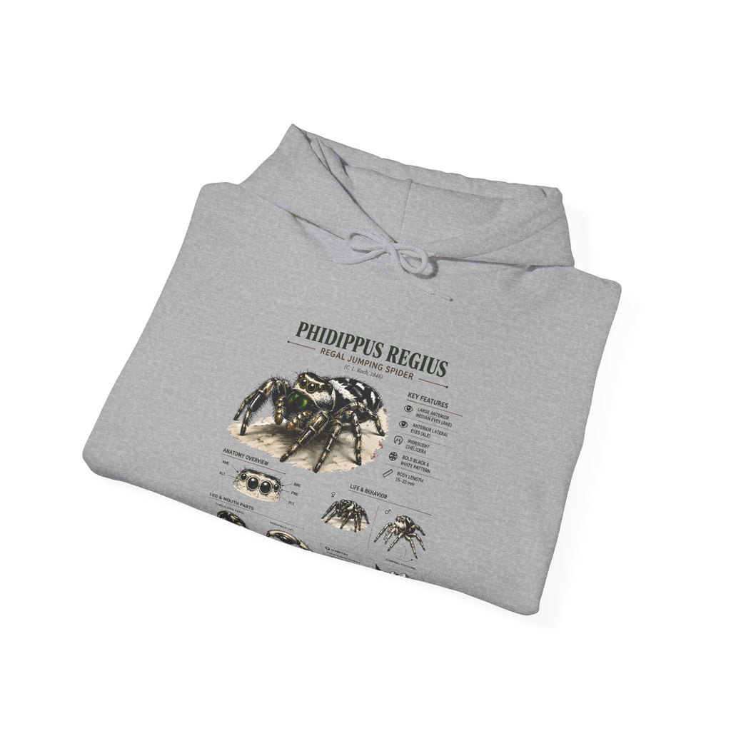 Tarantula Species Hoodie — Phidippus Regius Educational Spider Sweatshirt
