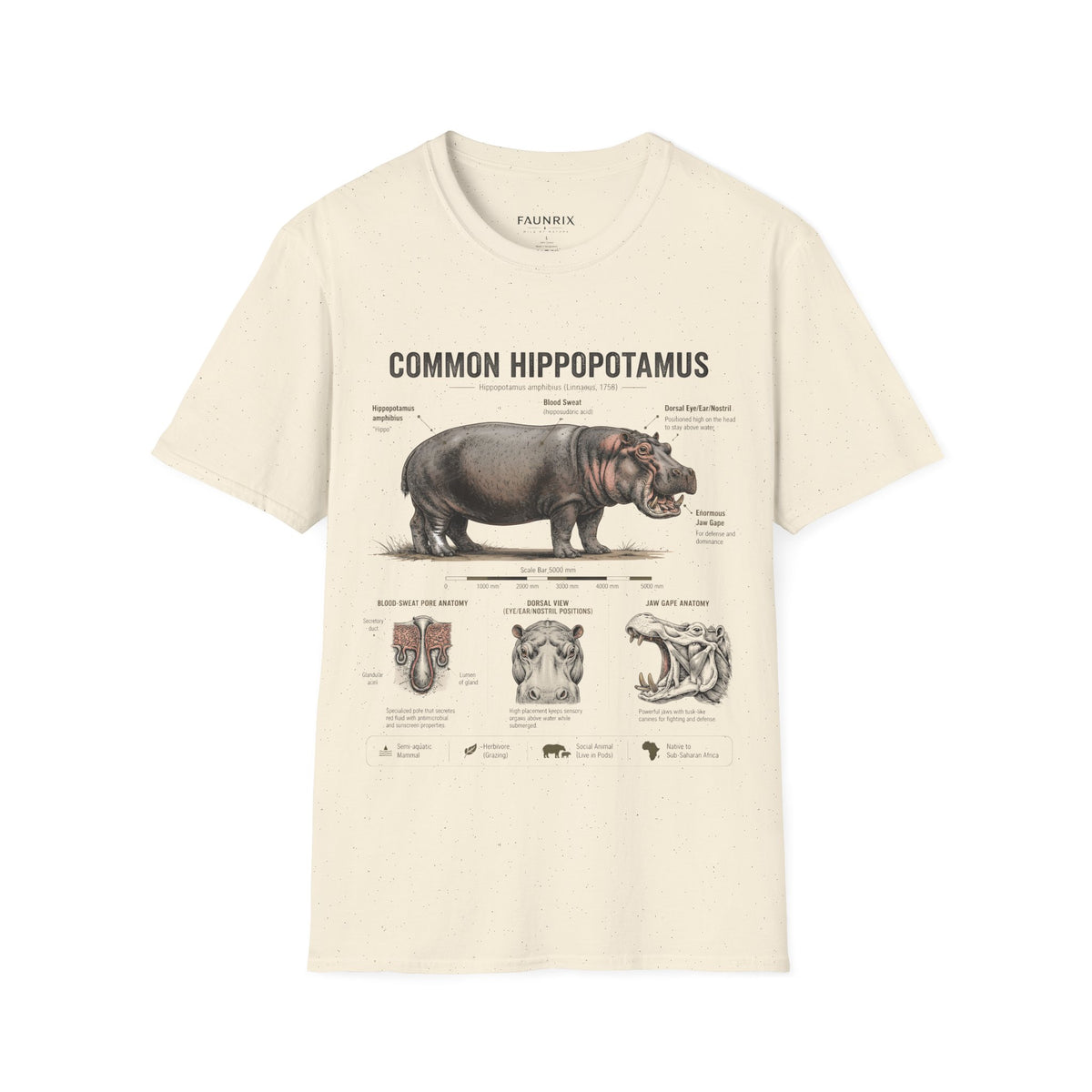 Common Hippopotamus Anatomy T-Shirt — Vintage Natural History Hippo Tee