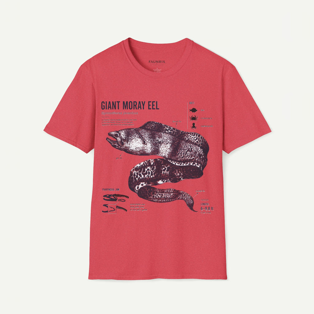 Moray Eel Anatomy Graphic T-Shirt — Vintage Scientific Illustration Tee