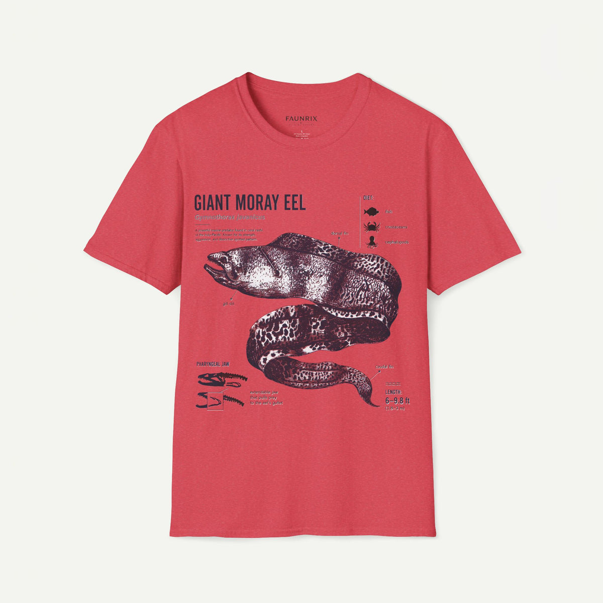 Moray Eel Anatomy Graphic T-Shirt — Vintage Scientific Illustration Tee