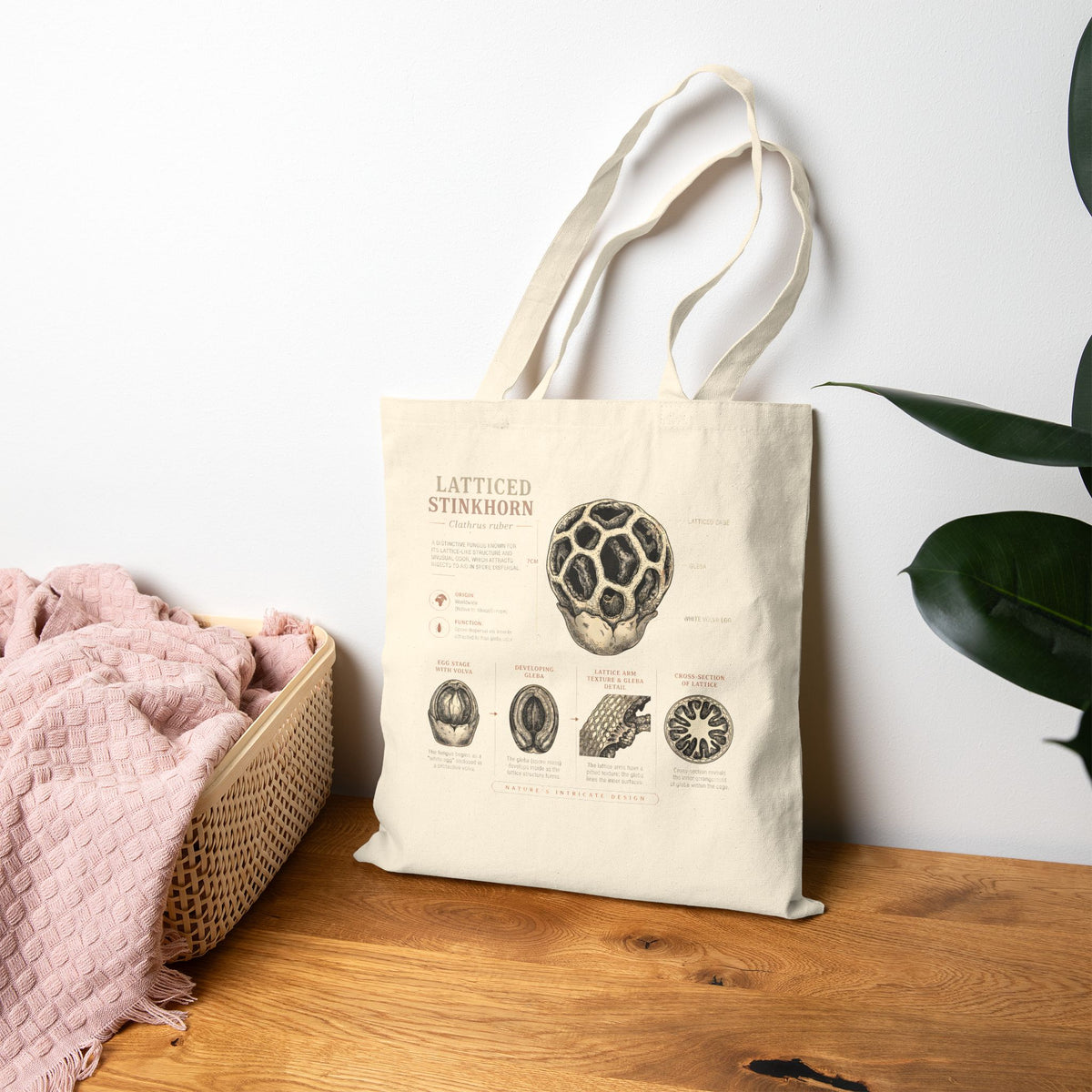 Latticed Stinkhorn Mushroom Canvas Tote Bag – Botanical Mycology Illustration