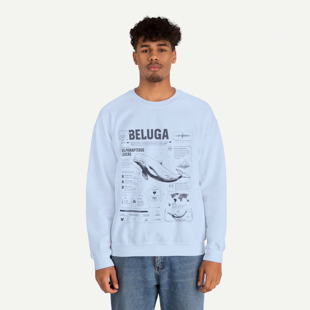 Beluga Whale Anatomy Sweatshirt