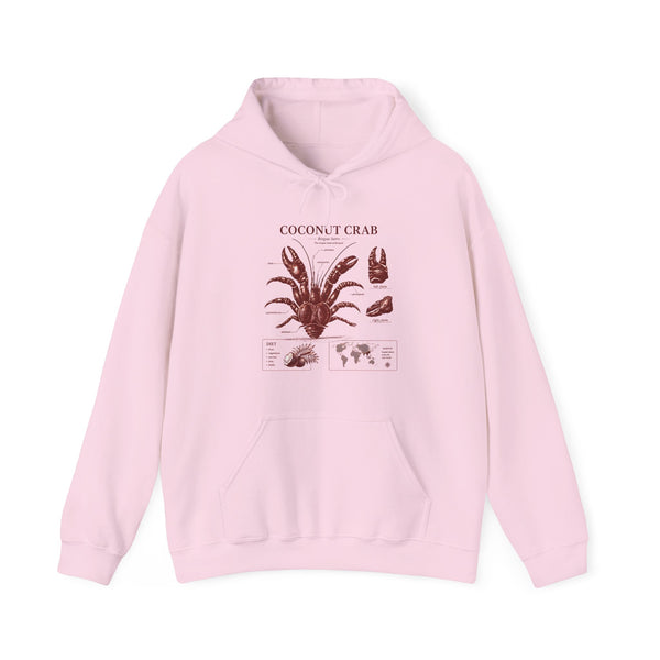 Coconut Crab Anatomy Hoodie — Vintage Botanical & Marine Study Print